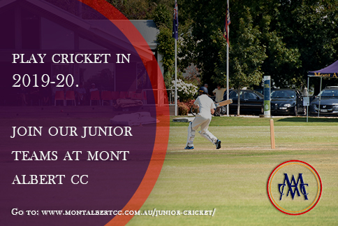 Play cricket at Mont Albert CC